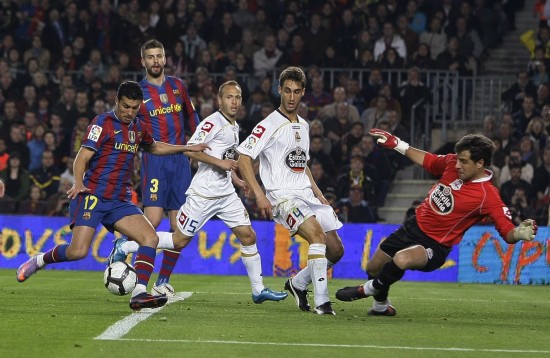 洲地区的市 洲地区的市